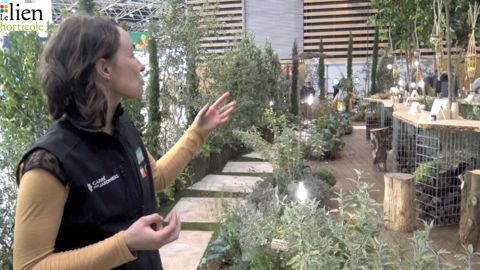 Le jardin d’Hélène Pépin, finaliste du concours Carré des jardiniers 2021 